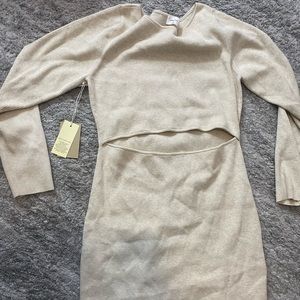 Aritzia dress